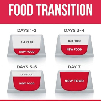 Hill's Science Plan Kitten With Tuna Dry Food, 1.5kg