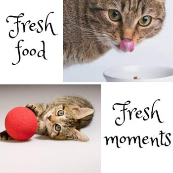 Hill's Science Plan Kitten With Tuna Dry Food, 1.5kg