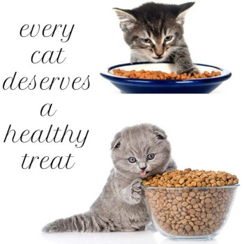 Hill's Science Plan Kitten With Tuna Dry Food, 1.5kg