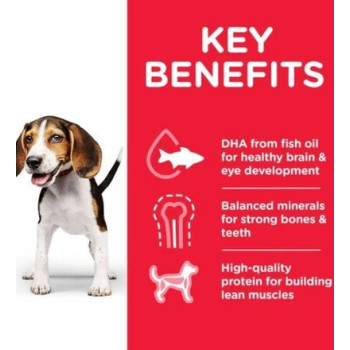 Hill's Science Plan Medium Puppy Food With Chicken, 14kg