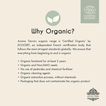 Aroma Tierra Organic Citronella Essential Oil, 100 Percentage Pure Natural, 10Ml