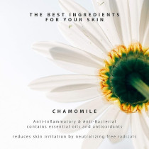 Natyr Organic Regenerating Face Mist For Normal And Sensitive Skin, 150Ml