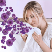 Lenor Mystery Bouquet Linen Long Lasting Fragrance, 210 Gram