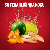 Old Spice Long Lasting Freshness White Water Perfume Quality Scent, 250 ml