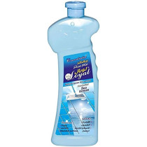 Loyal Multi-Purpose Concentrated Household Deodorizer, Freshener, Odor Remover, Cleaner For Washable Surfaces, Floors, Laundry, Seabreeze Fragrance, 700 Ml