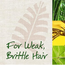 Maui Moisture Thicken And Restore And Bamboo Fibre Shampoo, 385 Ml, Pack Of 2