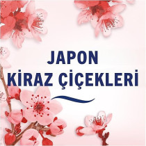 Febreze Japanese Cherry Blossoms Air Freshener Fragrance, 185 ml
