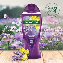 Palmolive Aroma Sensation So Relaxed Anti Stress With Essential Oil Aromatic Shower Gel, 500 ml