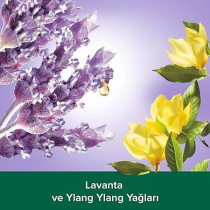 Palmolive Aroma Sensation So Relaxed Anti Stress With Essential Oil Aromatic Shower Gel, 500 ml