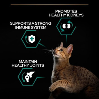 Purina Pro Plan Adult Renal Plus Chicken Dry Cat Food 1.5 Kg