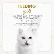 Purina Fancy Feast Gravy Lovers Beef Cat Wet Food 85g X 12 pack