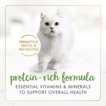 Purina Fancy Feast Gravy Lovers Salmon Cat Wet Food 85g x 12 pack