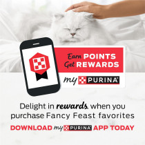 Purina Fancy Feast Gravy Lovers Salmon Cat Wet Food 85g x 12 pack