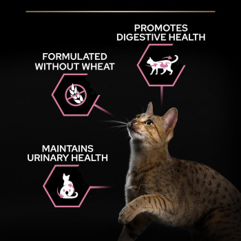 Purina Pro Plan Sterilised Optidigest Adult Chicken Dry Cat Food 10kg