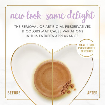 Purina Fancy Feast Classic Tender Chicken Feast Pate Kitten Wet Food 85g x 12 pack