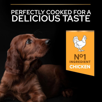 Purina Pro Plan Optistart Chicken Large Athletic Puppy Dry Food 12 Kg