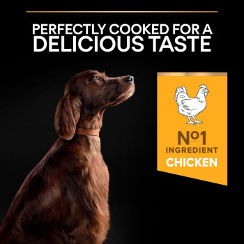 Purina Pro Plan Large Athletic Everyday Nutrition Chicken Dry Dog Food 14 Kg