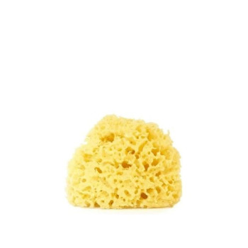 Sea Sponge Organic Natural Sea Sponge Small Size (8 Cm)