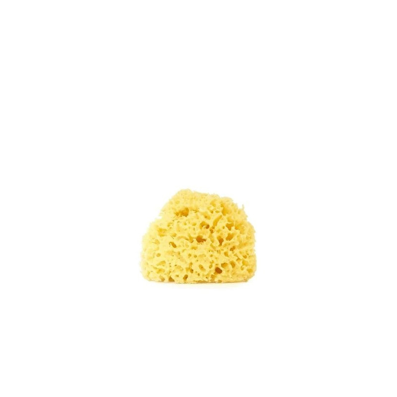 Sea Sponge Organic Natural Sea Sponge Small Size (8 Cm)