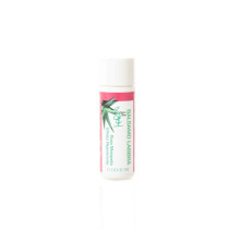 Bioearth Organic Lip Balm Aloe Vera And Rosehip, 7ml