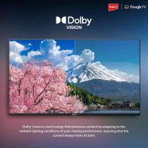 Impex 55 Inch 4K UHD Google Smart LED TV with Dolby Vision Atmos and Dolby Audio, DTS HD, Built-in Chromecast, 2GB RAM, 8GB ROM, HDMI ARC, Super Slim Design with Voice Remote - evoQ evoQ 55S4RLC2 Black
