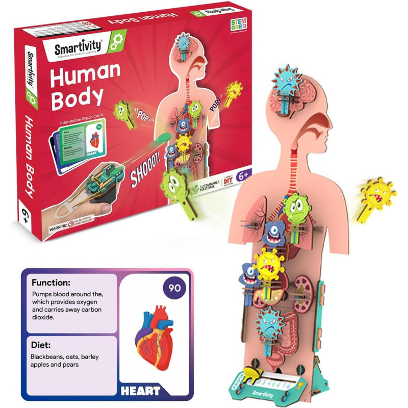 Smartivity Human Body Toy, DIY STEM Educational Science Project for Kids 6 To 12 Years Helps To Learn Body Organs & Functions