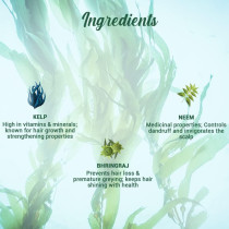 Biotique Bio Kelp Protein Shampoo, Intensive Treatment for Hair Regrowth and Strengthening, 800ml