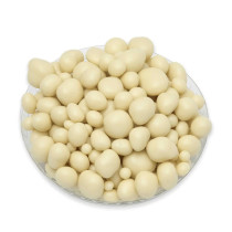 Confiserie Adam Organic Candied Lemon Bites Coated In Lemon Flavored White Chocolate, 100g