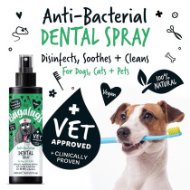 Bugalugs Antibacterial Dental Spray 200Ml (6.8 Fl Oz)