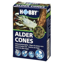 Hobby Pack Of 50 Alder Cones Natural And Aesthetically Pleasing Enhancing The Overall Look
