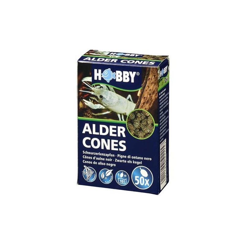 Hobby Pack Of 50 Alder Cones Natural And Aesthetically Pleasing Enhancing The Overall Look