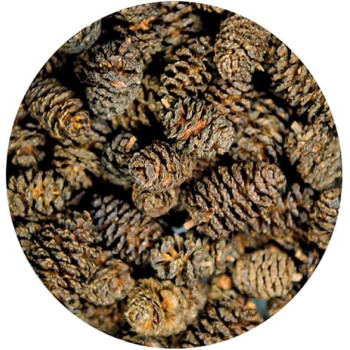 Hobby Pack Of 50 Alder Cones Natural And Aesthetically Pleasing Enhancing The Overall Look
