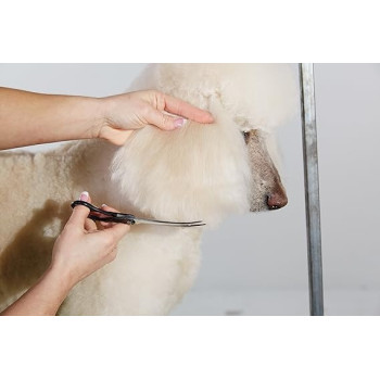 Andis Curved Right Handed Shear Precise Contouring And Shaping, 8-Inch