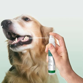 Vet's Best Advanced Dental Spray And Floss Ball For Dogs, White, 120 ml