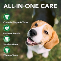 Vet's Best Advanced Dental Spray And Floss Ball For Dogs, White, 120 ml