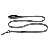 Alcott Adventure Leashes For Dogs, Grey, Small