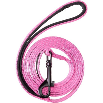 Alcott Adventure Dog Leash With Reflective Stitching And Neoprene Padded Handle, Small, Pink