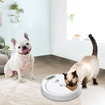 Afp All For Paws Lifestyle 5-Meal Automatic Pet Feeders Cat And Dog, 7.62Kg