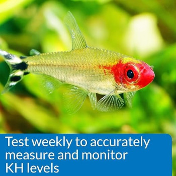 Api Kh Carbonate Hardness Test Kit Helps Prevent Ph Problems For Fresh And Salt Water, 37 ml