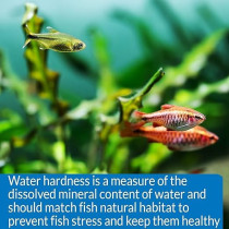 Api Kh Carbonate Hardness Test Kit Helps Prevent Ph Problems For Fresh And Salt Water, 37 ml