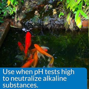 Api Pond Ph Down Lowers Pond Water Ph Safe For Fish And Plants, 473 ml