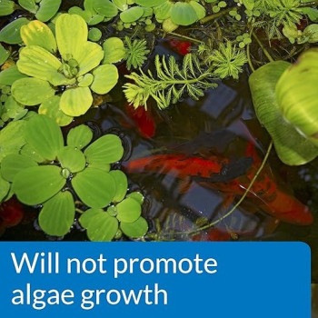 Api Pond Ph Down Lowers Pond Water Ph Safe For Fish And Plants, 473 ml