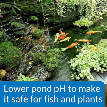 Api Pond Ph Down Lowers Pond Water Ph Safe For Fish And Plants, 473 ml