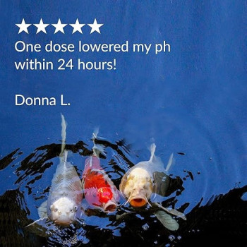 Api Pond Ph Down Lowers Pond Water Ph Safe For Fish And Plants, 473 ml