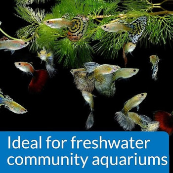 Api Proper Ph 7.0 Ideal For Freshwater Community Aquariums, 250 Gram