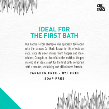 Cat Space Catnip Herbal Cat Shampoo, Moisturizing, 300ml