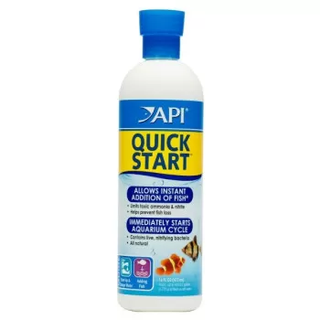 Api Quick Start Allows...