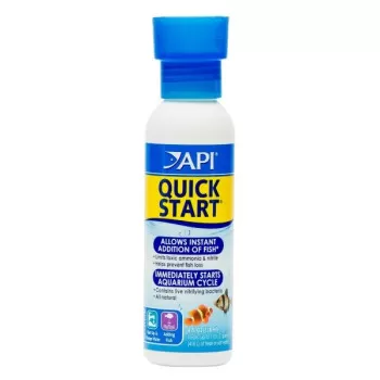 Api Quick Start Allows...