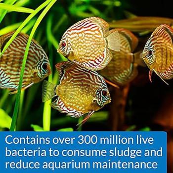 Api Stress Zyme, 8Oz, For Aquarium Maintenance, Fish Aquarium, 237 Ml