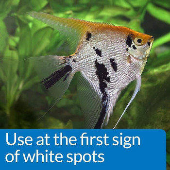 Api Liquid Super Ick Cure Freshwater And Saltwater Fish Medication, 473Ml